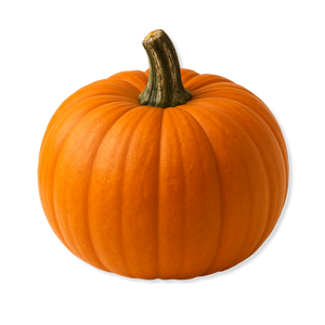 Low Sugar Pumpkin Spice Flavored Syrup